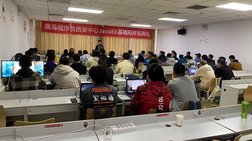 黑馬程序員技術交流社區 打造開發者成長生態圈